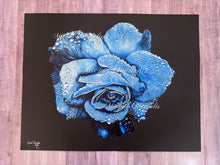 Load image into Gallery viewer, Blue Rose on Black Colored Pencil Drawing Realism Print