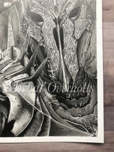 Load image into Gallery viewer, Sauron The Lord of the Rings Print