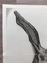 Load image into Gallery viewer, Frank the Bunny Donnie Darko Print