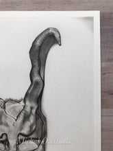 Load image into Gallery viewer, Frank the Bunny Donnie Darko Print