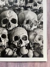 Load image into Gallery viewer, View From the Catacombs Fine Art Skull Drawing in Graphite and Charcoal PRINT