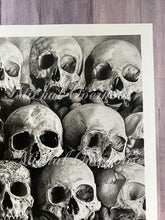Load image into Gallery viewer, View From the Catacombs Fine Art Skull Drawing in Graphite and Charcoal PRINT