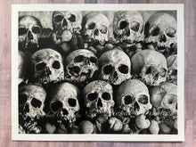 Load image into Gallery viewer, View From the Catacombs Fine Art Skull Drawing in Graphite and Charcoal PRINT