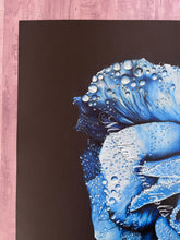 Load image into Gallery viewer, Blue Rose on Black Colored Pencil Drawing Realism Print
