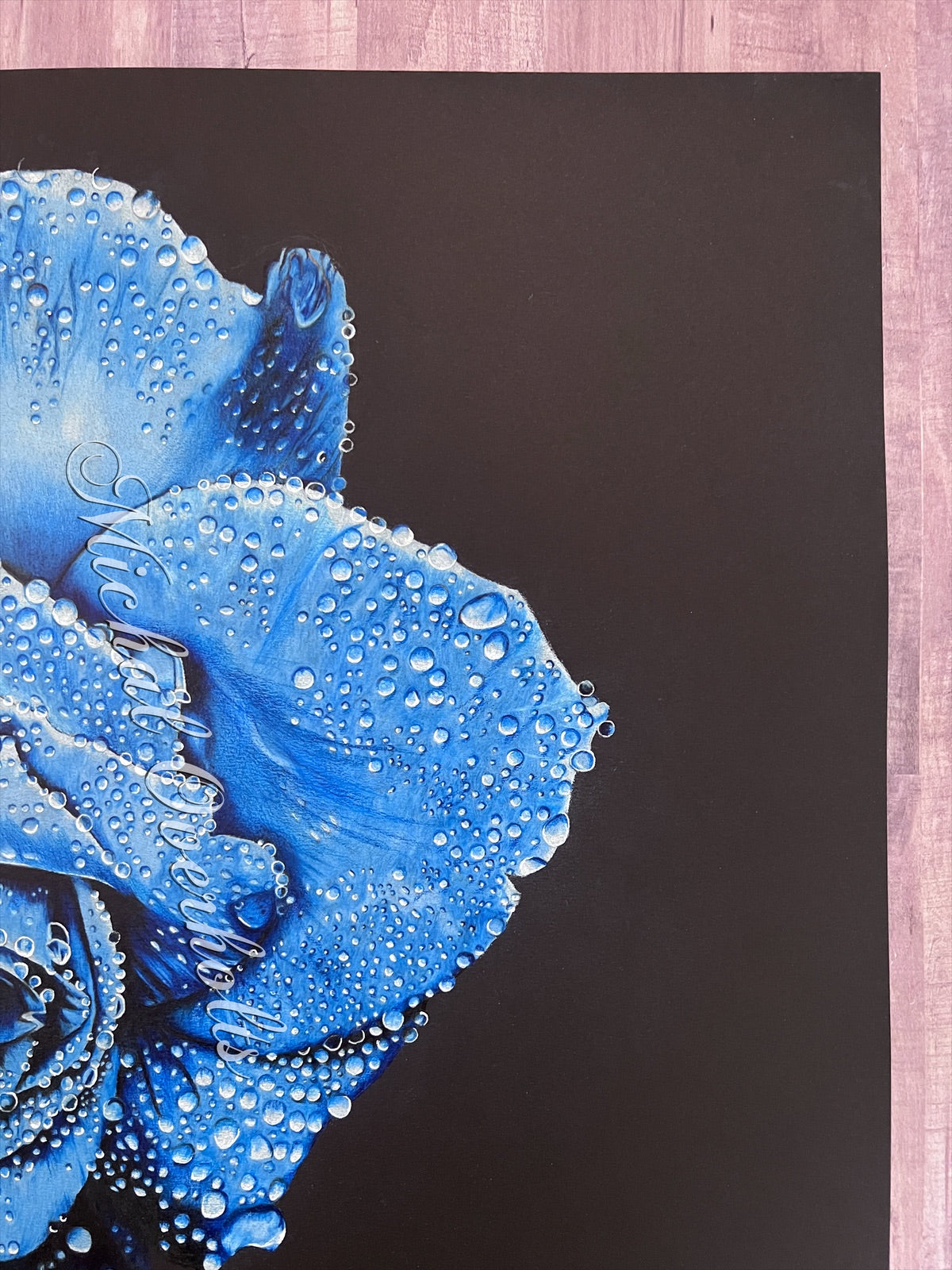 Blue Rose on Black Colored Pencil Drawing Realism Print – Art By