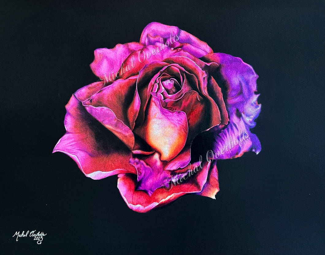 Neon Rose on Black Colored Pencil Realism Drawing