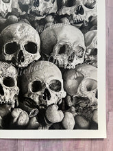 Load image into Gallery viewer, View From the Catacombs Fine Art Skull Drawing in Graphite and Charcoal PRINT
